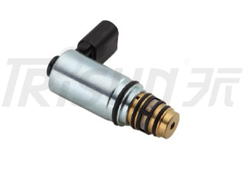 TSECV06C  Control Valve 