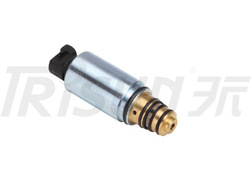 TSECV18C Control Valve 