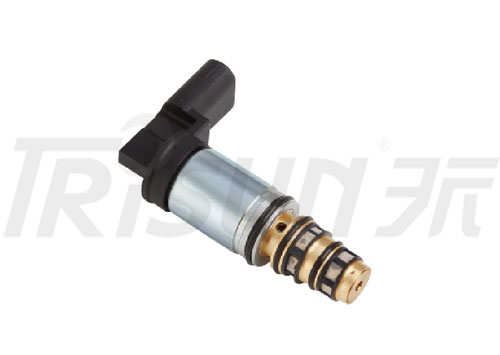 TSECV19  Control Valve