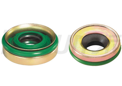 TSCT30×14.3 A/C Lip Seal