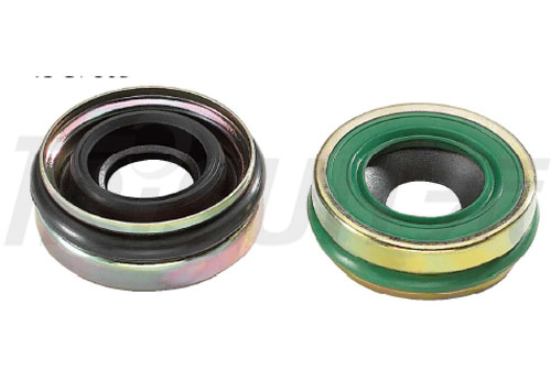 TSCTF30×16B A/C Lip Seal