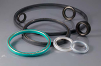 Spring energized seals