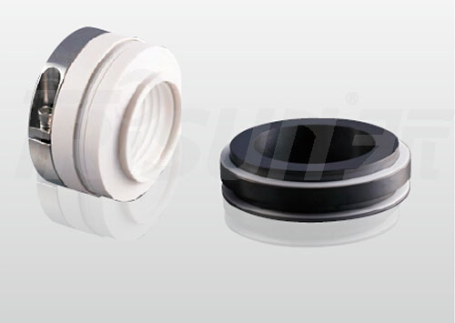 TS 20 TS 20R (John Crane type 20 20R)