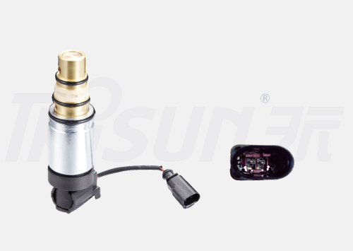 TSECV73C Control Valve