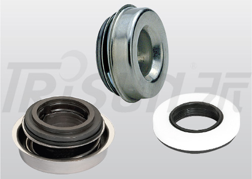TS FW Auto Cooling Pump Seal (Replace MTU S)