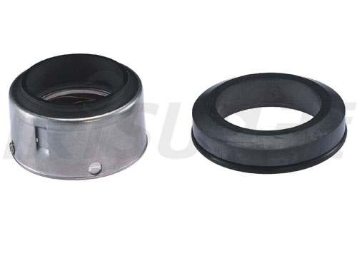 TSJH60xC40C A/C Lip Seal