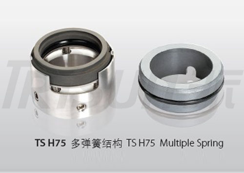 TS H7N Machined Mechanical Seal (Replace BURGMANN H7N) TS H75 (Replace BURGMANN H75, MTU DR1-HS)）