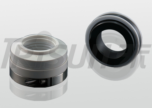 TS 20 TS 20R (John Crane type 20 20R)