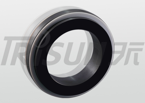 TS 20 TS 20R (John Crane type 20 20R)