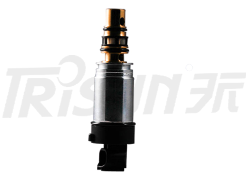 TSECV46O Control Valve