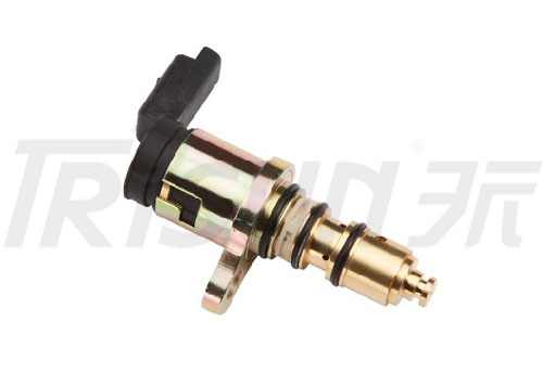 TSECV14 Control Valve