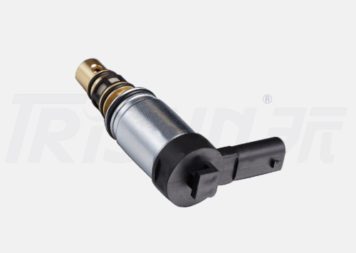 TSECV60C Control Valve