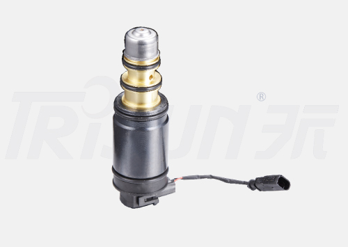 TSECV62 Control Valve