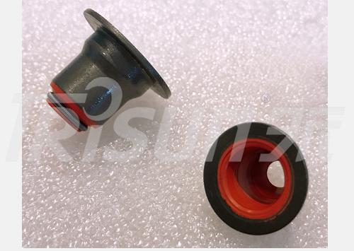 Valve Stem Seal