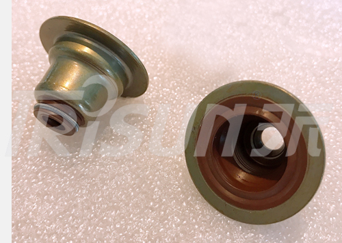 Valve Stem Seal
